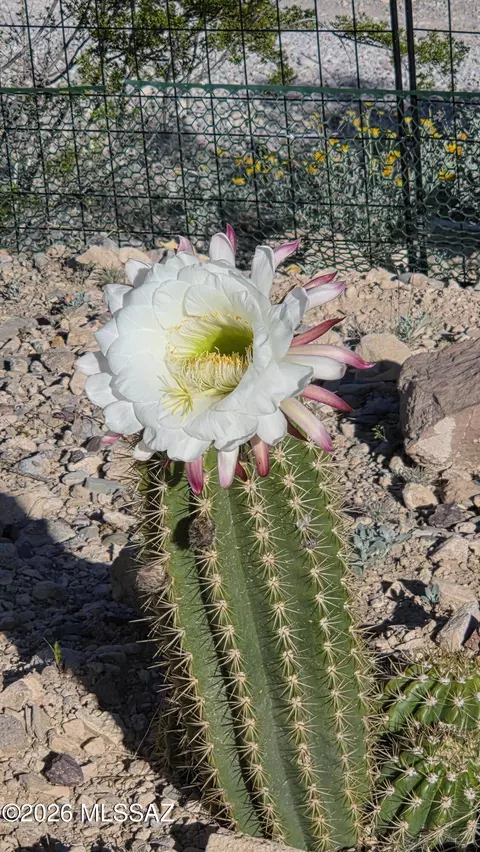 15680 E Colossal Cave Rd, Vail, AZ 85641 photo 36