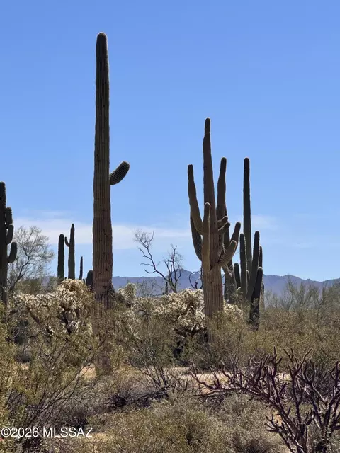 0 S Cattle Tank Rd, Marana, AZ 85658