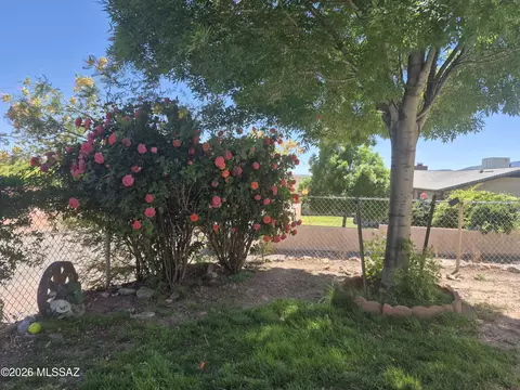 385 Hackberry Dr, Clifton, AZ 85533 photo 3