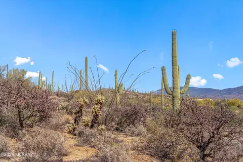 5400 N Avenida De La Colina, Tucson, AZ 85749