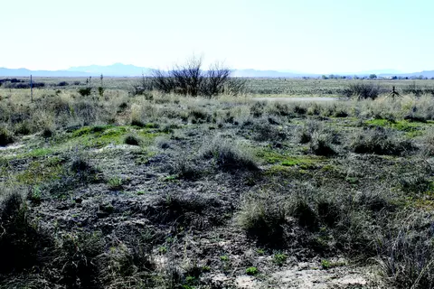 55 Acres Arizona 186 #1219, Willcox, AZ 85643 photo 6