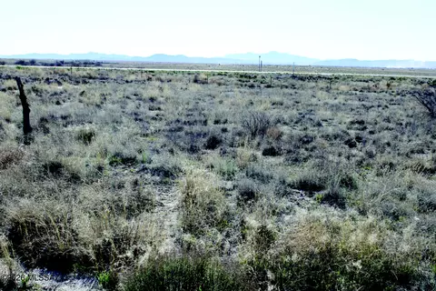 55 Acres Arizona 186 #1219, Willcox, AZ 85643 photo 9