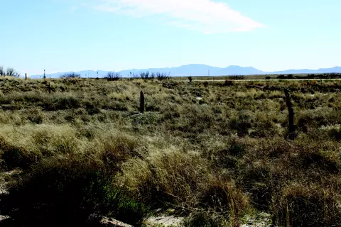55 Acres Arizona 186 #1219, Willcox, AZ 85643 photo 8
