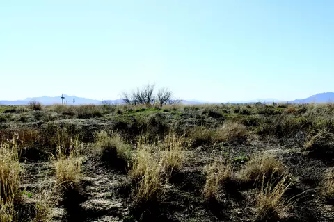 55 Acres Arizona 186 #1219, Willcox, AZ 85643 photo 3