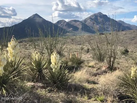 tbd Perezoso Ct, Rio Rico, AZ 85648