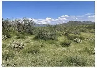 824 Morning Star Dr, Rio Rico, AZ 85648