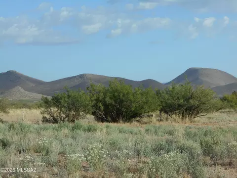 13684 S Tyree Rd, Pearce, AZ 85625