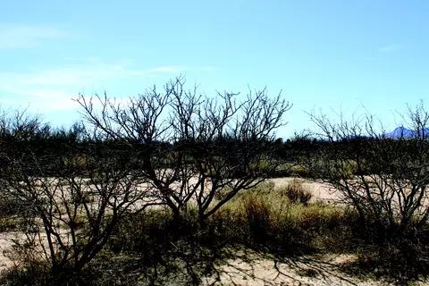5 E 52 Acres E Chaco Ln #D, Hereford, AZ 85615 photo 11