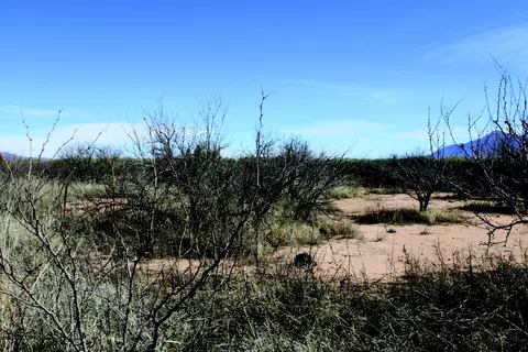 5 E 52 Acres E Chaco Ln #D, Hereford, AZ 85615 photo 18