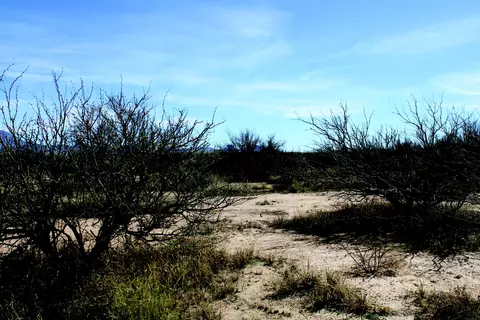 5 E 52 Acres E Chaco Ln #D, Hereford, AZ 85615 photo 12