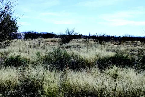 5 E 52 Acres E Chaco Ln #D, Hereford, AZ 85615 photo 3