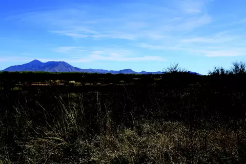 5 E 52 Acres E Chaco Ln #D, Hereford, AZ 85615 photo 5