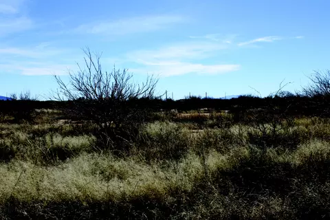 5 E 52 Acres E Chaco Ln #D, Hereford, AZ 85615 photo 2
