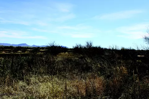 5 E 52 Acres E Chaco Ln #D, Hereford, AZ 85615 photo 6
