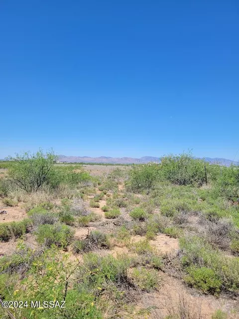 39 N 62 Ac N Wolf Ct #-, Willcox, AZ 85643 photo 3