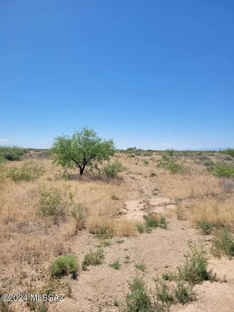 39 N 62 Ac N Wolf Ct #-, Willcox, AZ 85643 photo 2