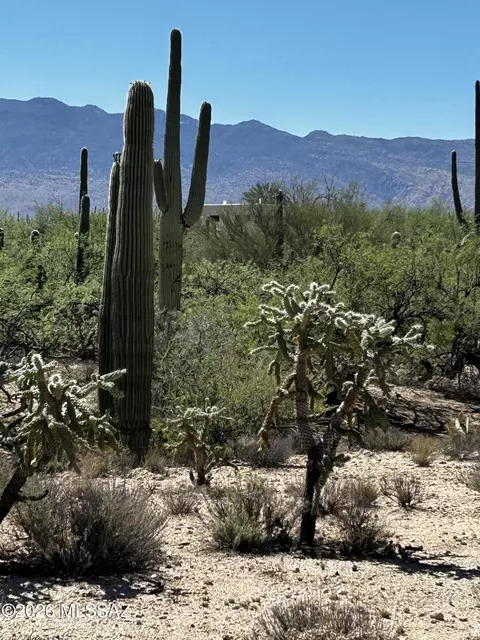 E Roger Road, Tucson, AZ 85749