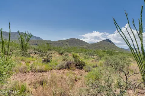 9789 E Ocotillo Rim Trl, Vail, AZ 85641 photo 21