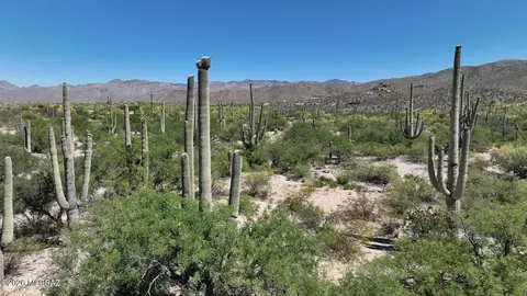13585 E Placita Nido Del Aguila, Tucson, AZ 85749