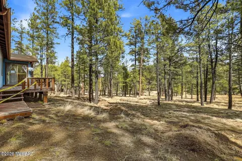 Exterior - 6 County Road 2148, Alpine, AZ 85920 photo 4 of 4
