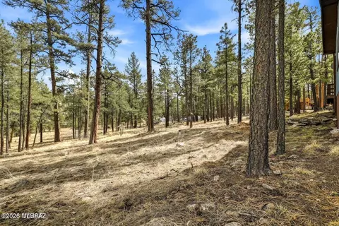 Exterior - 6 County Road 2148, Alpine, AZ 85920 photo 3 of 4