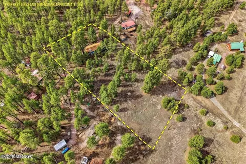 View/Area - 6 County Road 2148, Alpine, AZ 85920 photo 1 of 6