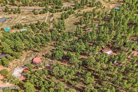 View/Area - 6 County Road 2148, Alpine, AZ 85920 photo 6 of 6