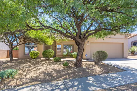 1111 S Paperflower Ave, Tucson, AZ 85748