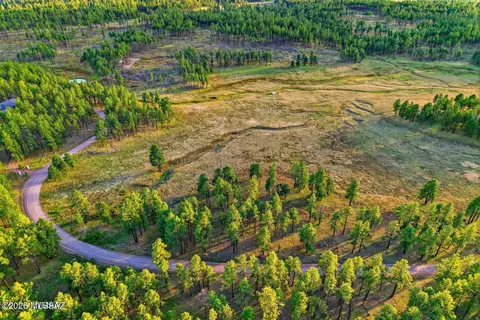 1 Forest Rd # A, Alpine, AZ 85920 photo 16