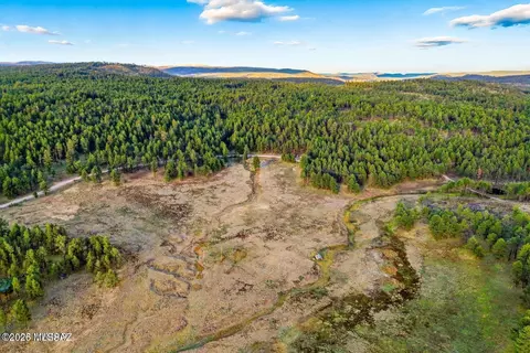1 Forest Rd # A, Alpine, AZ 85920 photo 10