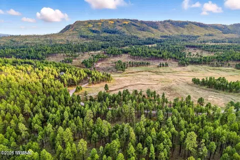 1 Forest Rd # A, Alpine, AZ 85920 photo 6