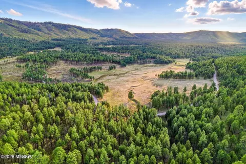 1 Forest Rd # A, Alpine, AZ 85920 photo 7