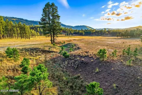 1 Forest Rd # A, Alpine, AZ 85920 photo 3