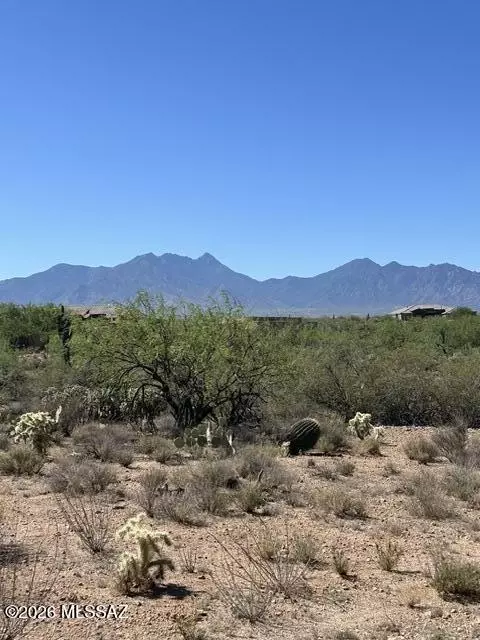 2728 E Old Corral Pl, Sahuarita, AZ 85629