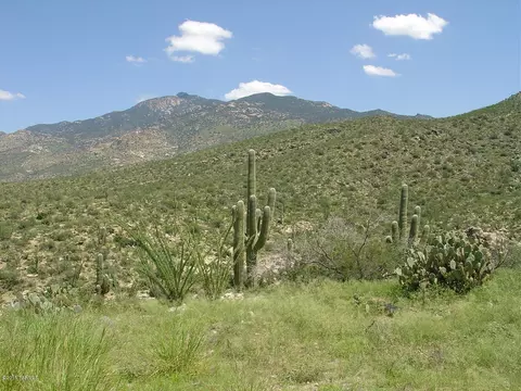 7301 S Red Hill Rd, Vail, AZ 85641