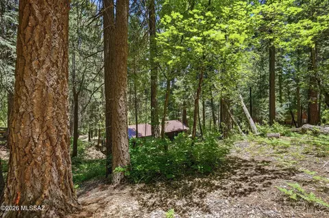 Exterior - 10982 E Wren Ln, Mount Lemmon, AZ 85619 photo 13 of 14