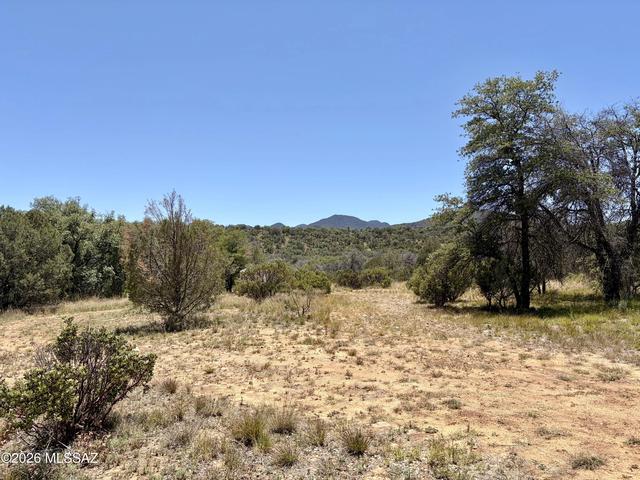 64 Forest Service 5539 Rd, Patagonia, AZ 85624