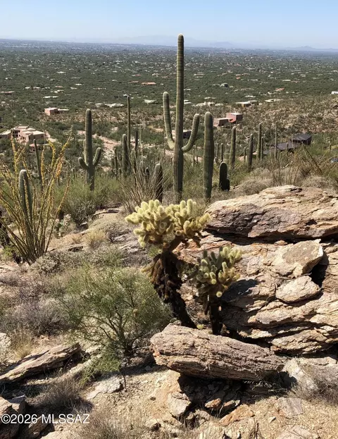 12071 E Quesada Pl, Tucson, AZ 85749