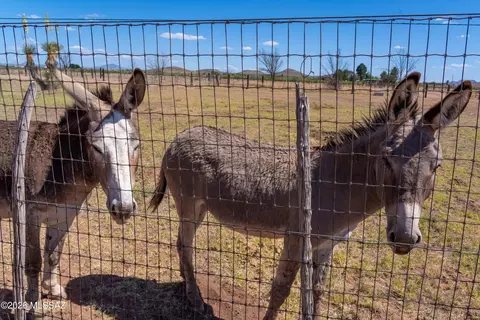 Other - 3661 E Antelope Rd, Pearce, AZ 85625 photo 19 of 20