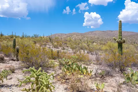 13701 E Placita Nido Del Aguila, Tucson, AZ 85749