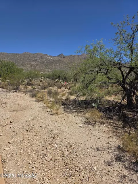 10841 E Adobe Creek Place Lot #41, Tucson, AZ 85749