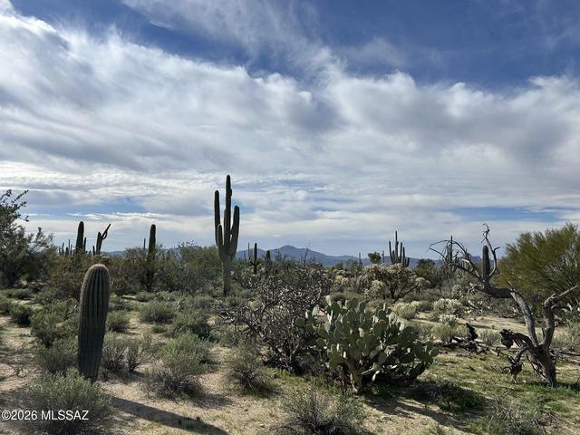 N Camino De Oeste, Tucson, AZ 85742