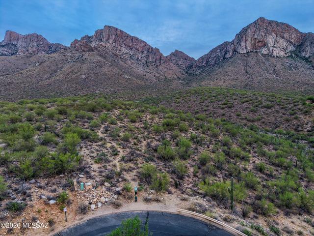 10130 N Cliff Dweller Pl, Oro Valley, AZ 85737