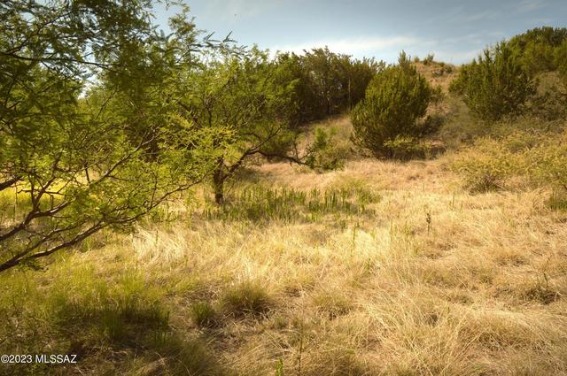 142 Tanglehead Ln, Patagonia, AZ 85624