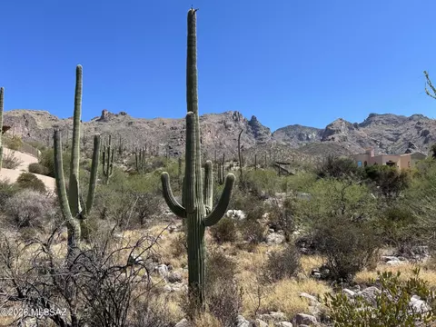 7128 N Mercer Spring Pl, Tucson, AZ 85718