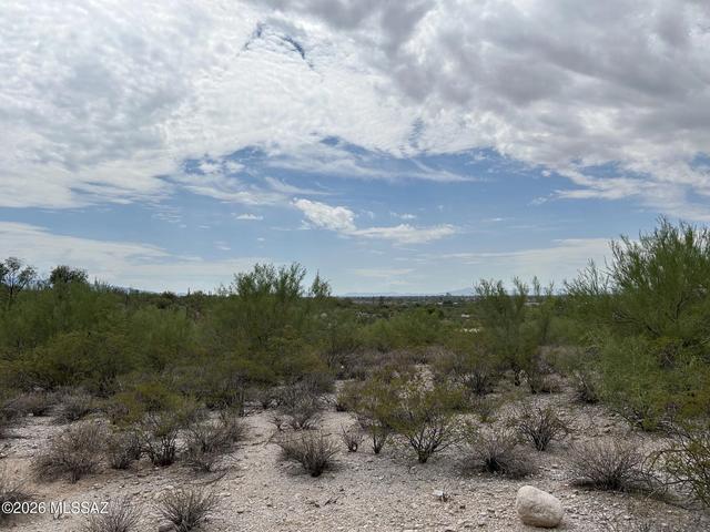 E Palo Verde Boulevard, Tucson, AZ 85718