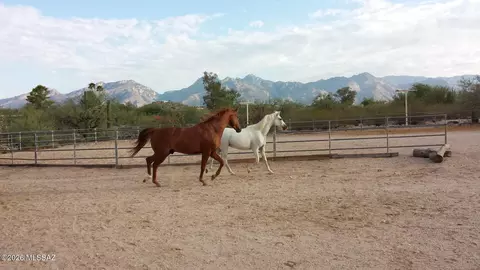 Other - 7944 E Cloud Rd, Tucson, AZ 85750 photo 4 of 17