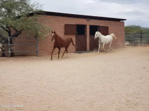 Other - 7944 E Cloud Rd, Tucson, AZ 85750 photo 10 of 17