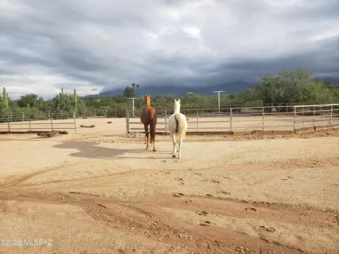 Other - 7944 E Cloud Rd, Tucson, AZ 85750 photo 11 of 17