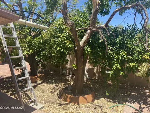 Exterior - 310 W Canada St, Tucson, AZ 85706 photo 9 of 18